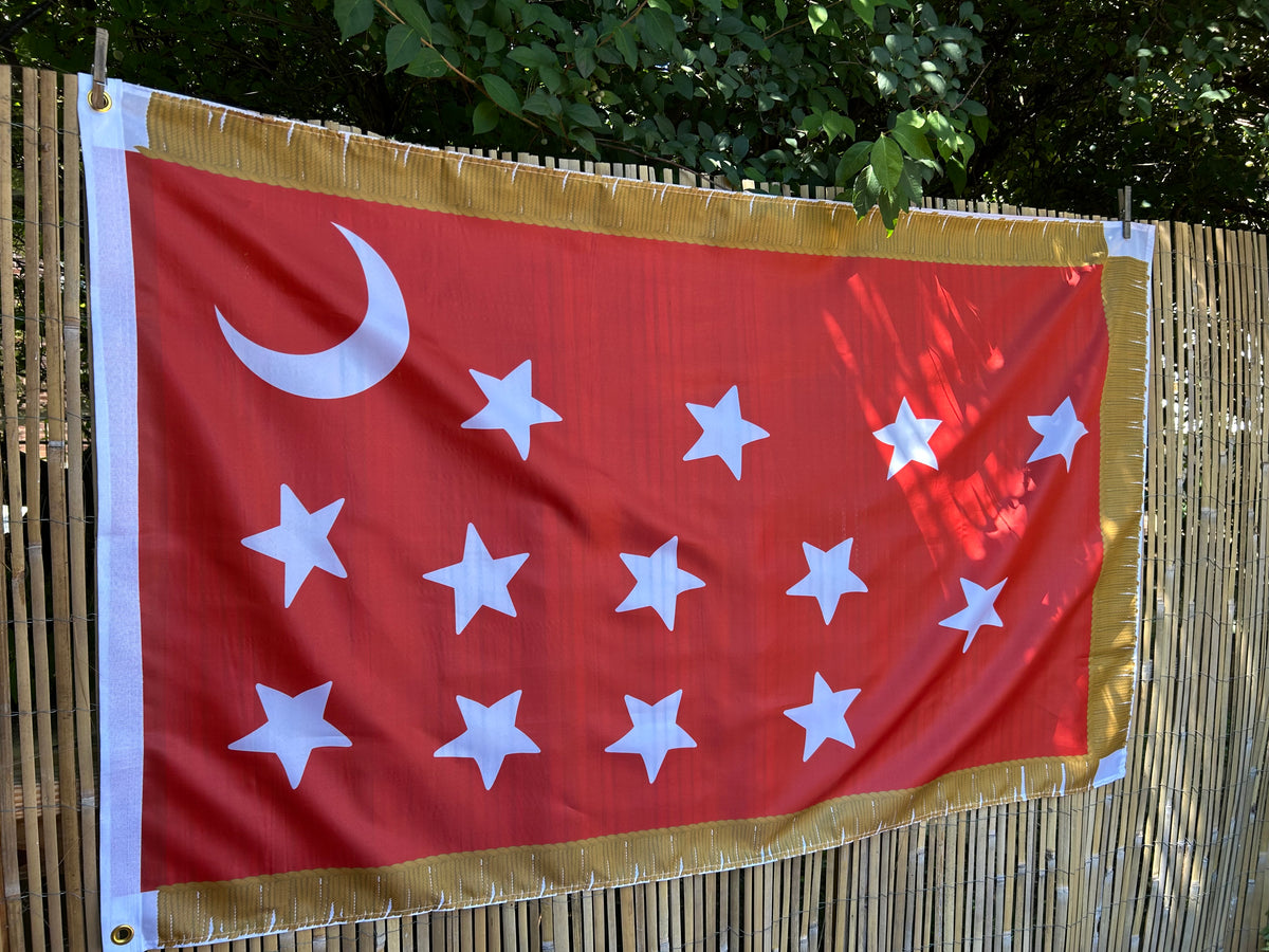 4th Missouri House Flag