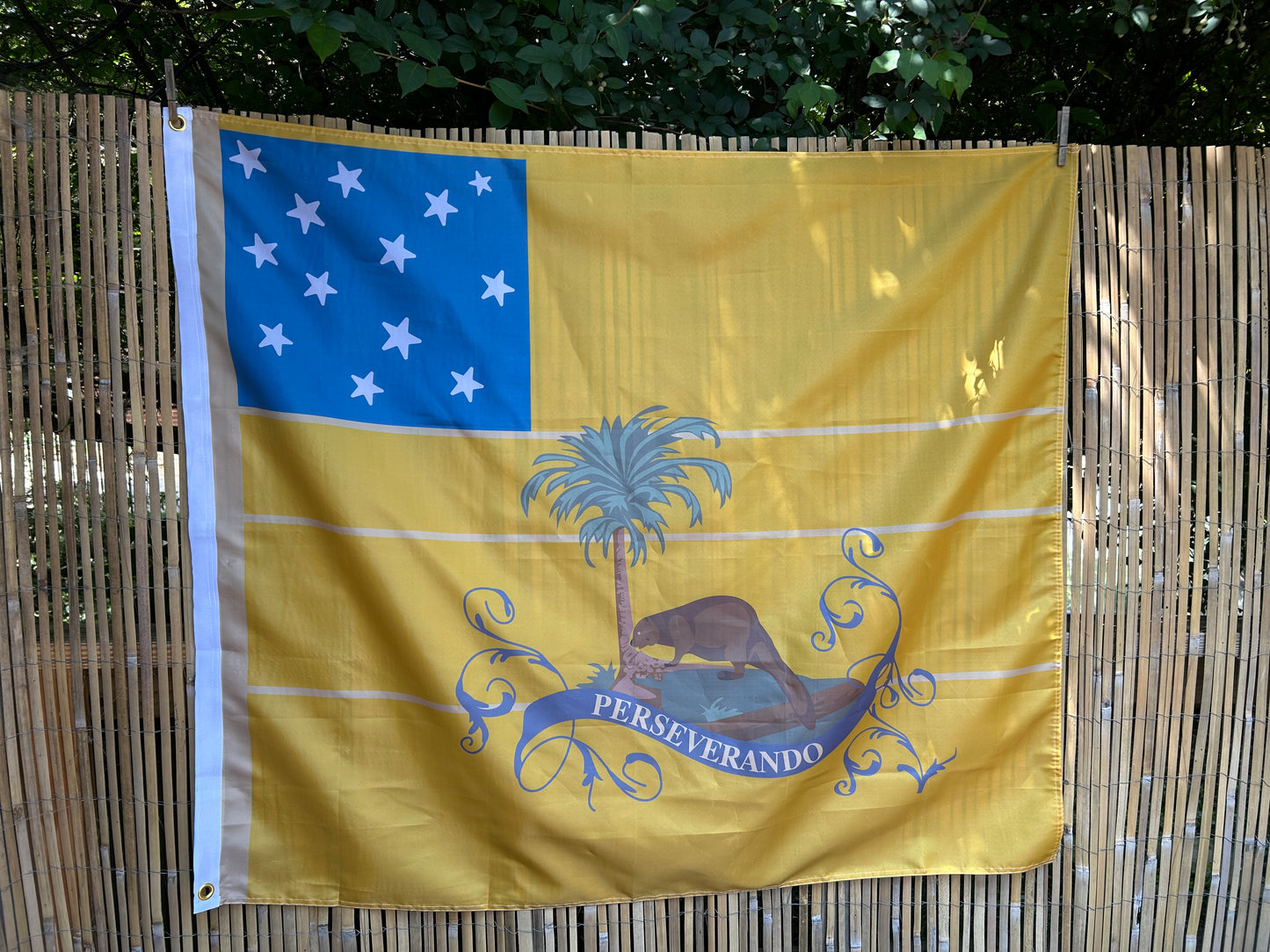 "3rd Virginia Detachment" Flag