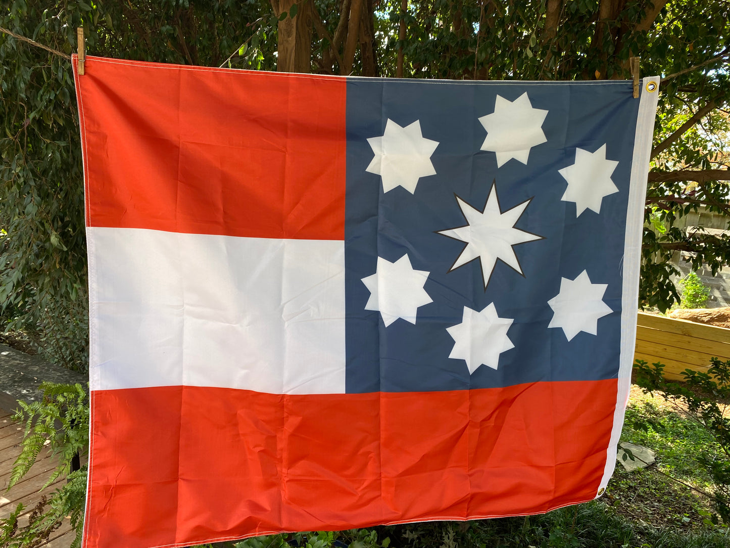 South Carolina Secession/1st National Flag House Flag