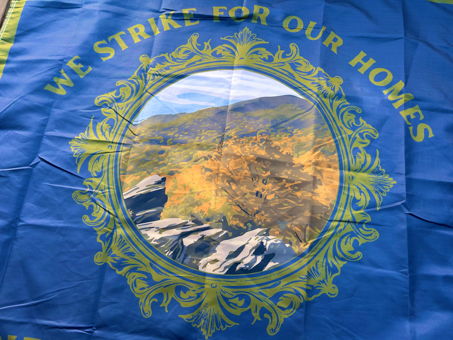 "We strike for our homes" - Company D  - 4th South Carolina Flag