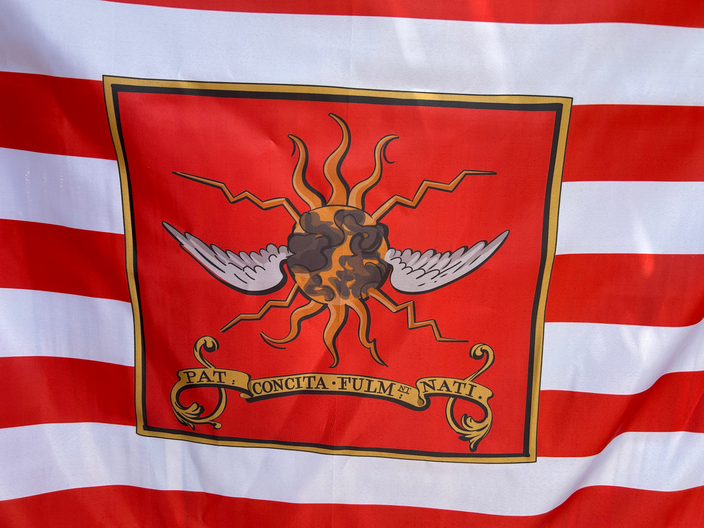 2nd Continental Light Dragoons 1779 Flag