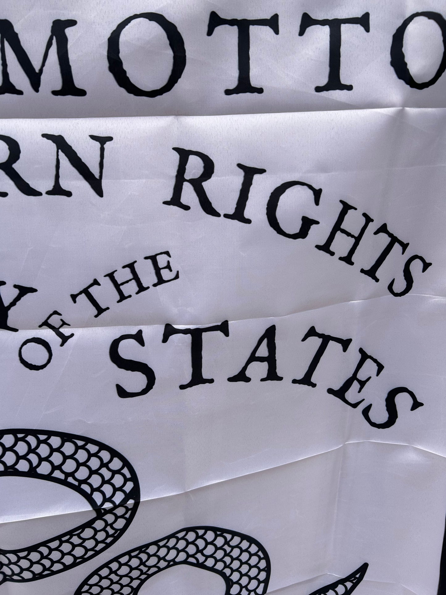 "Southern Rights" Savannah, Georgia Secession Banner House Flag