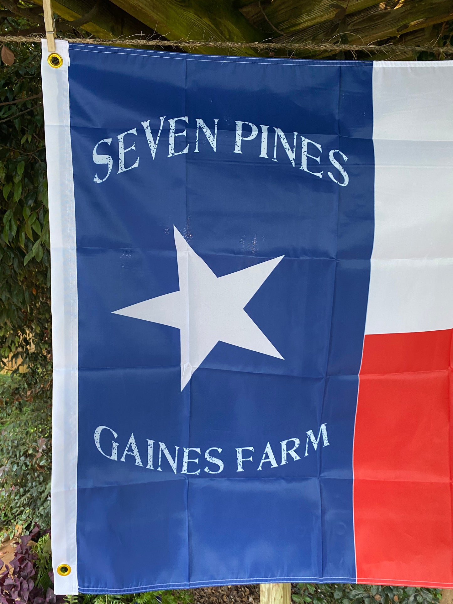 1st Texas Infantry House Flag
