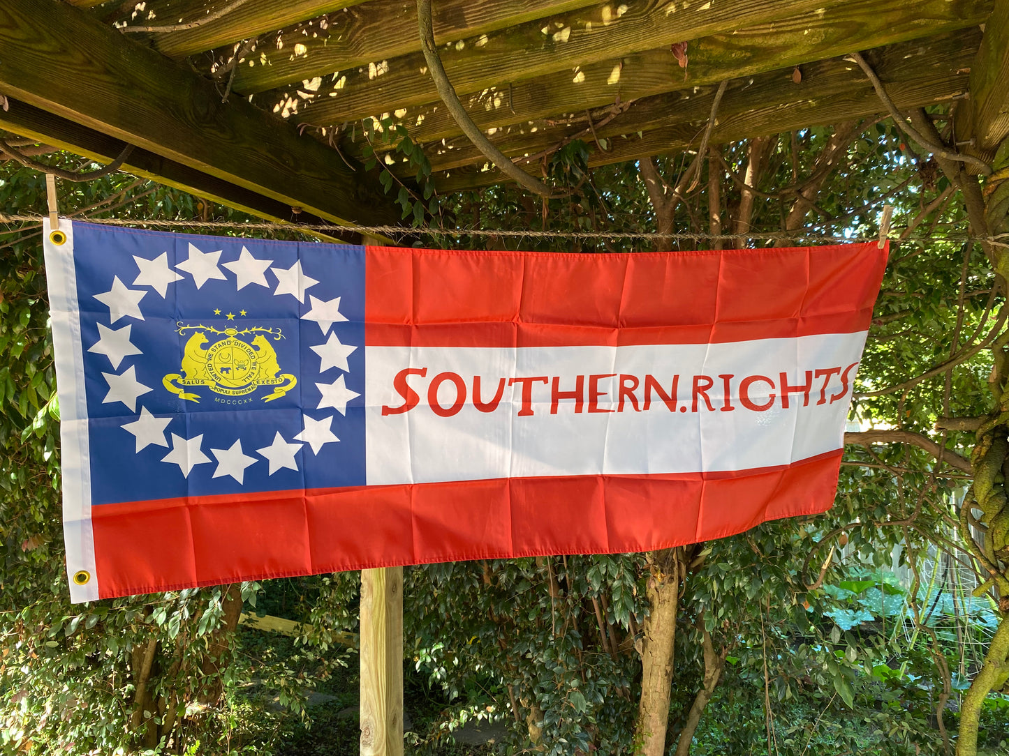 "Southern Rights" Missouri State Guard House Flag