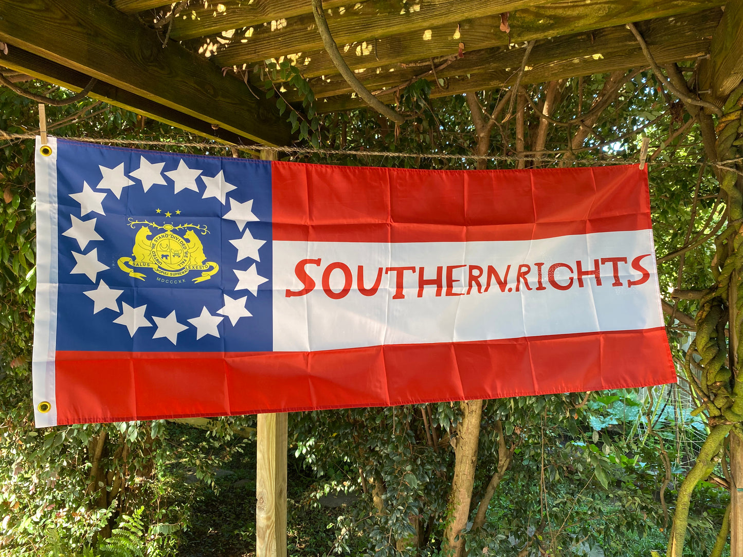 "Southern Rights" Missouri State Guard House Flag