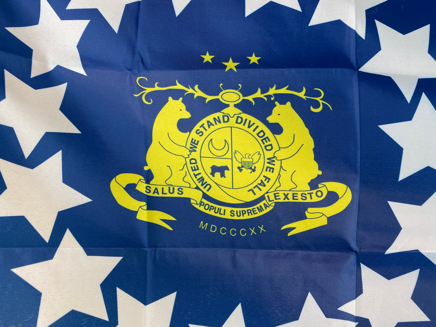 "Southern Rights" Missouri State Guard House Flag