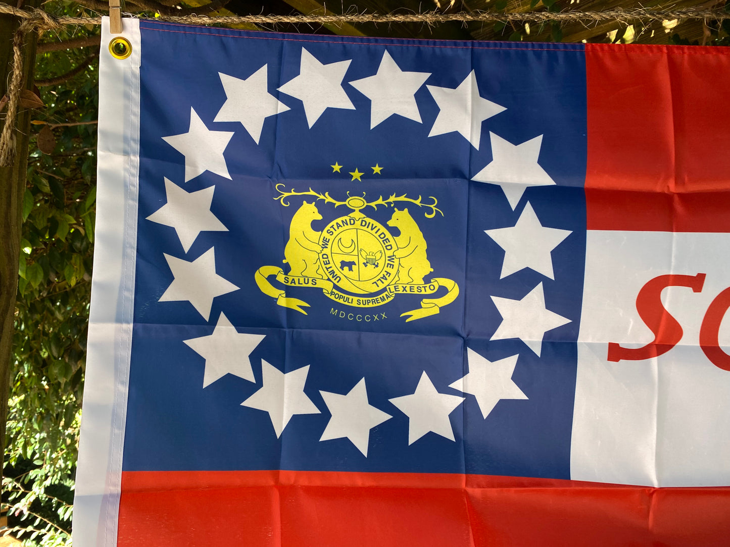 "Southern Rights" Missouri State Guard House Flag