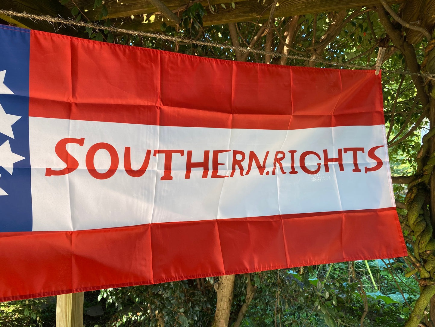 "Southern Rights" Missouri State Guard House Flag