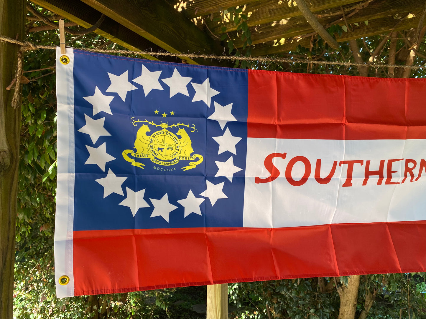 "Southern Rights" Missouri State Guard House Flag