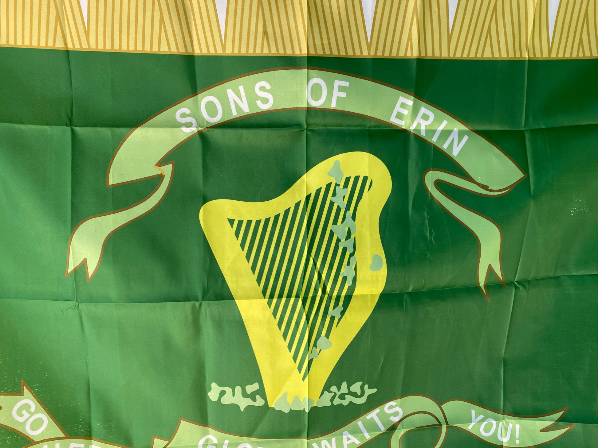Tenth State Flag