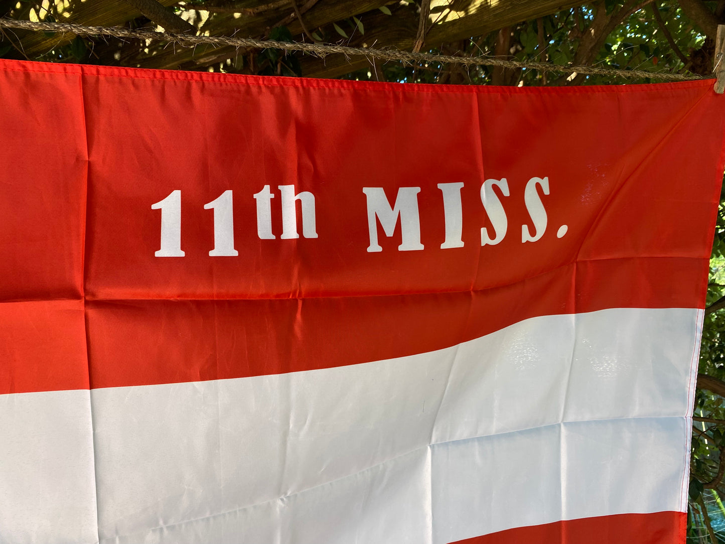 11th Mississippi First National House Flag