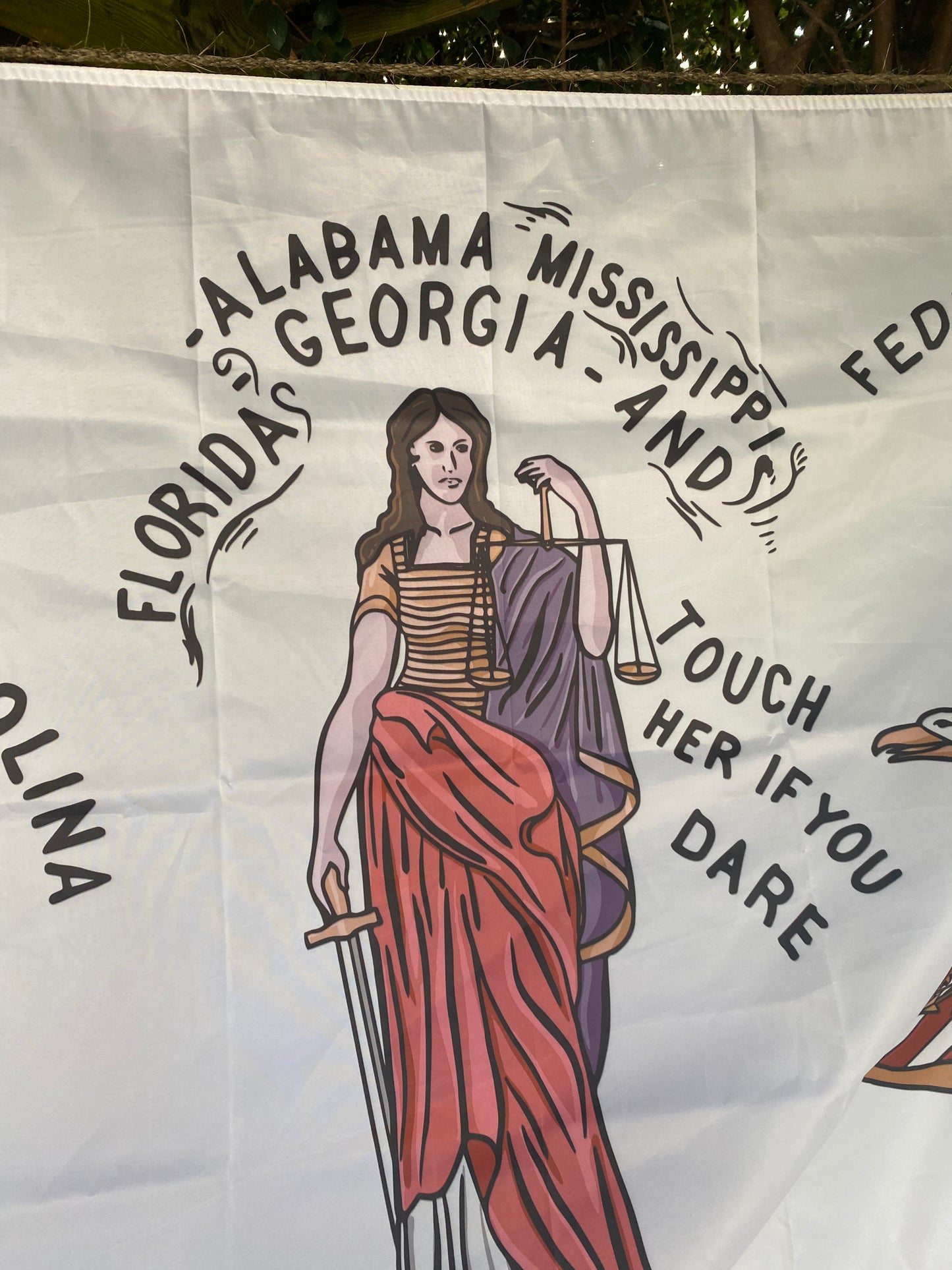 "Touch her if you dare" 1860 Georgia Secession Banner House Flag