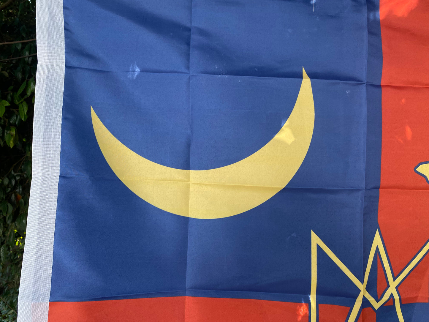 Marion Artillery (South Carolina) House Flag