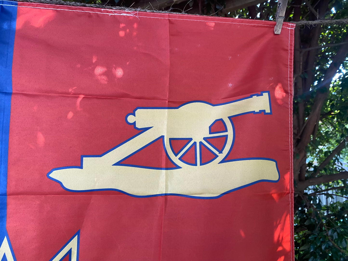 Marion Artillery (South Carolina) House Flag