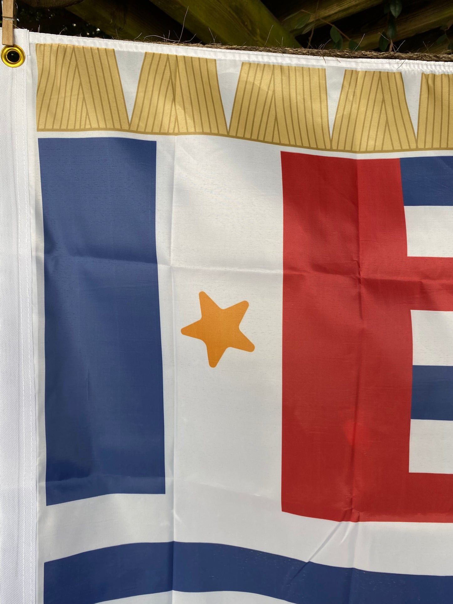 "French Legion" Variant of the Republic of Louisiana House Flag