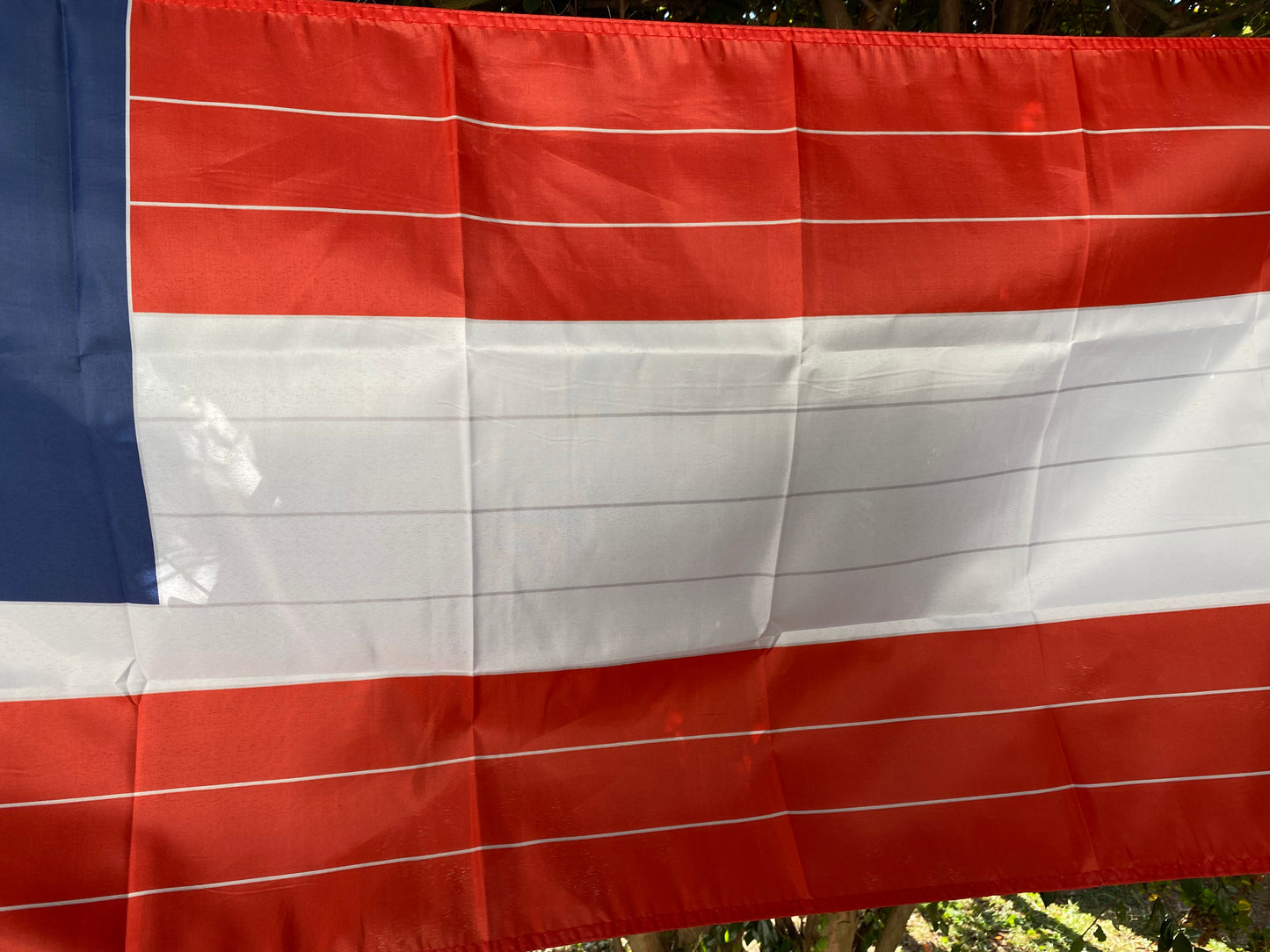 "Rebuilt United States Flag" Charleston Washington Artillery 1st National House Flag