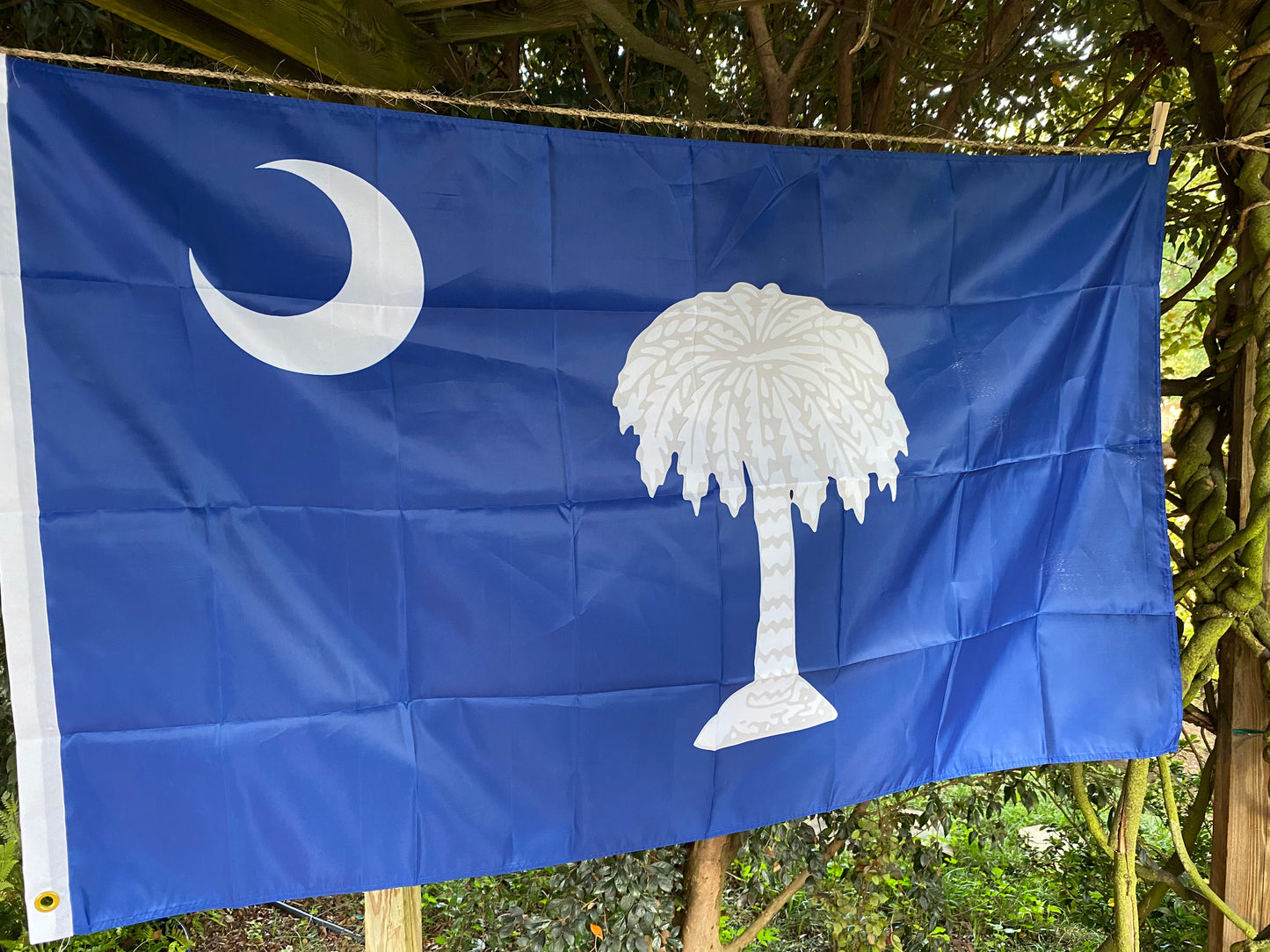 South Carolina "Palmetto Republic" House Flag