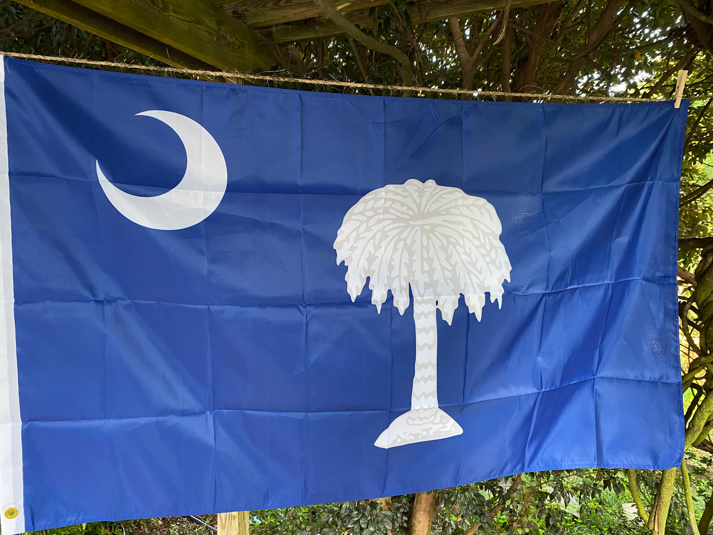 South Carolina "Palmetto Republic" House Flag