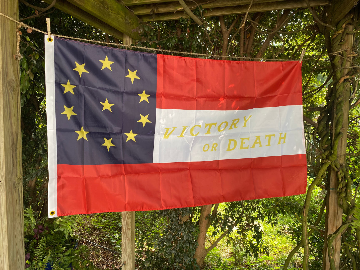 "Victory or Death" 13th Arkansas 1st National House Flag