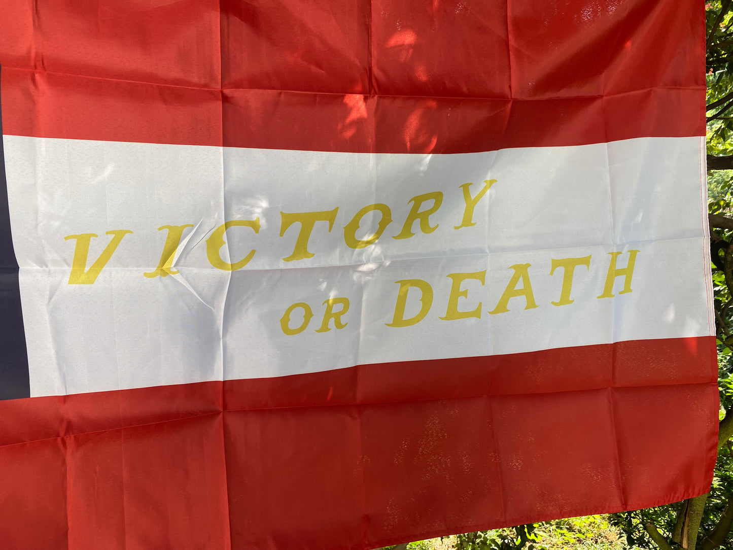 "Victory or Death" 13th Arkansas 1st National House Flag