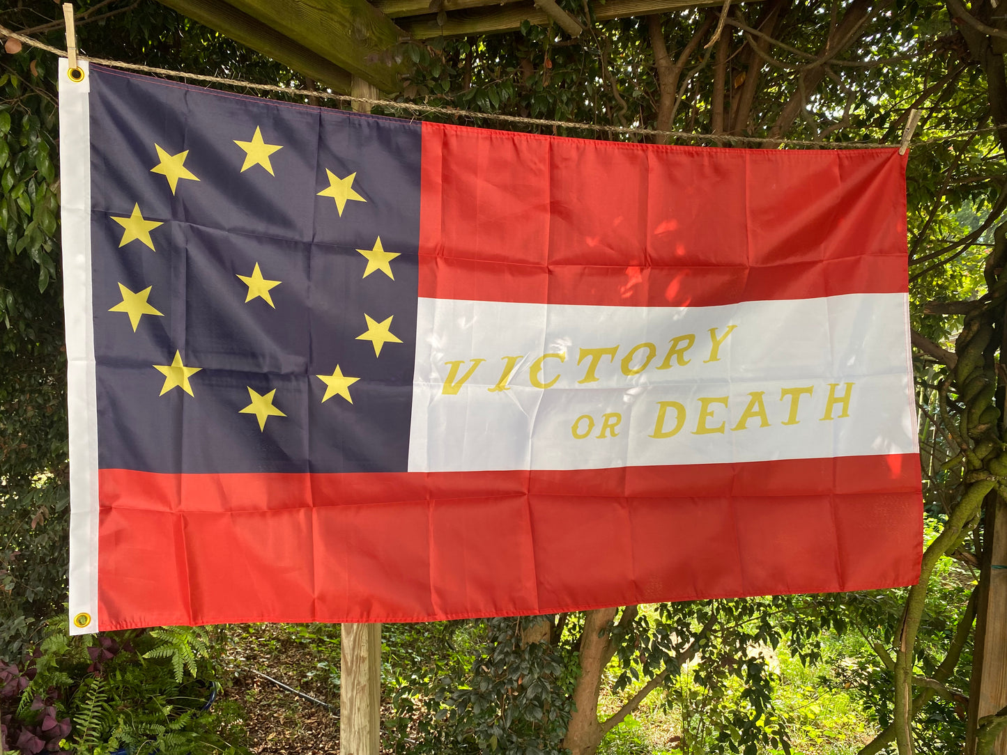 "Victory or Death" 13th Arkansas 1st National House Flag