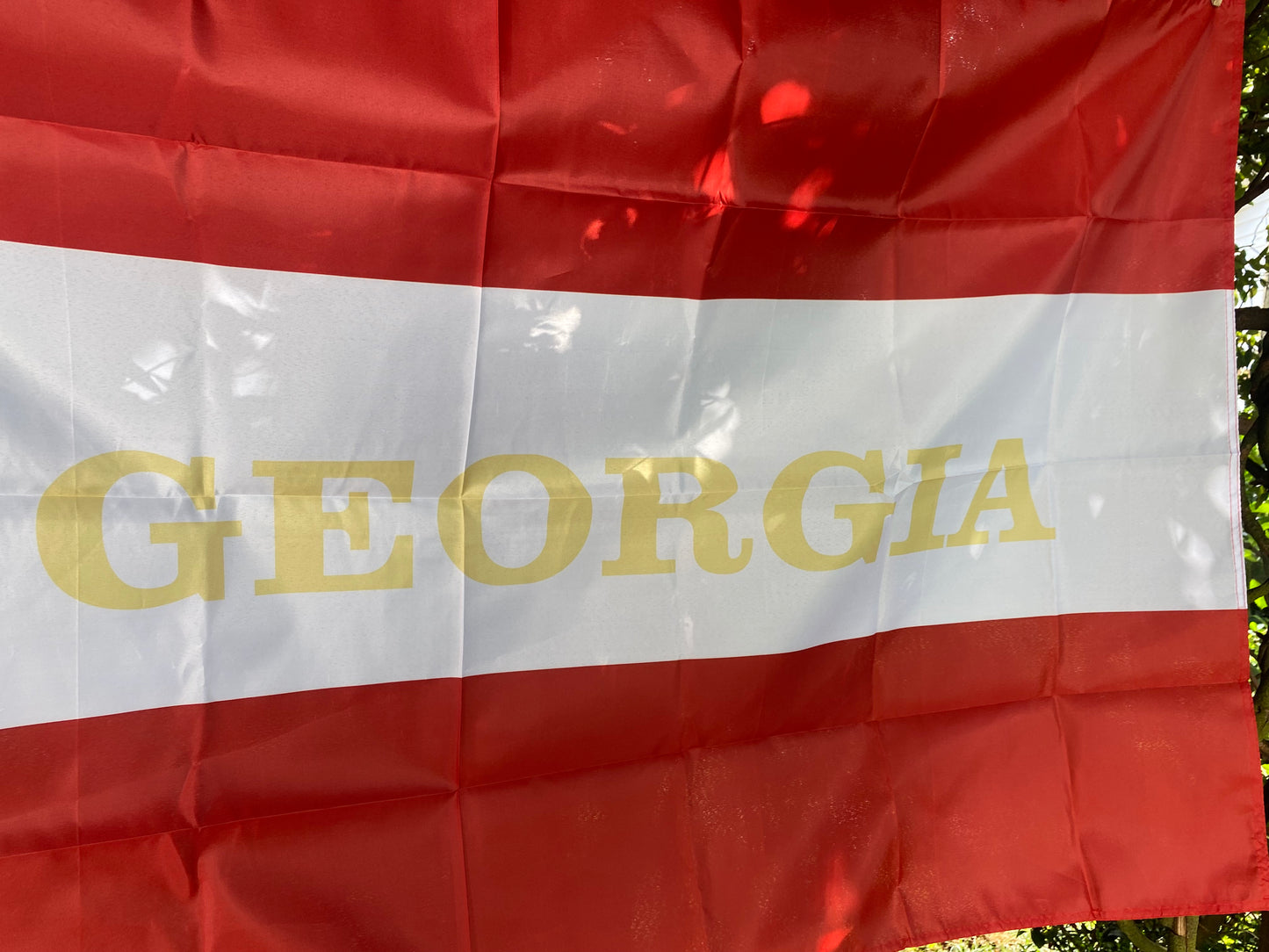 14th Georgia Infantry 1st National House Flag