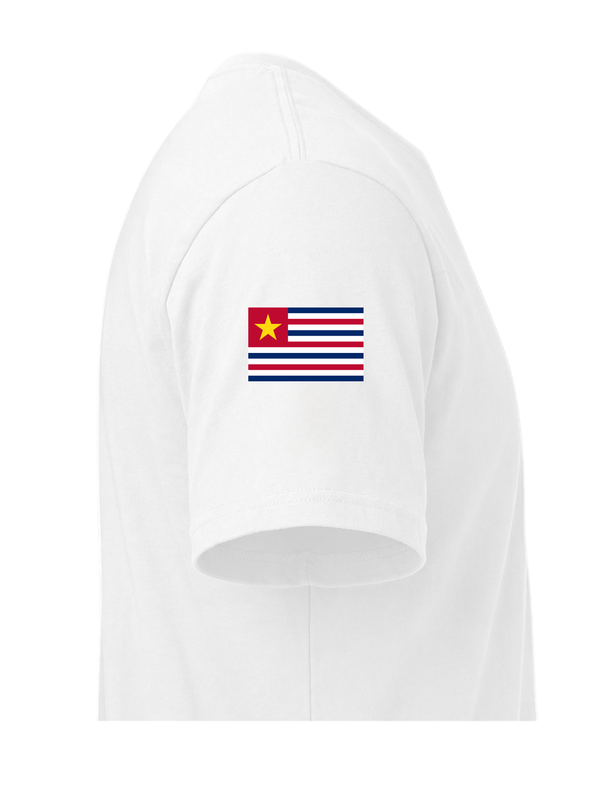 Louisiana Ordinance of Secession Shirt