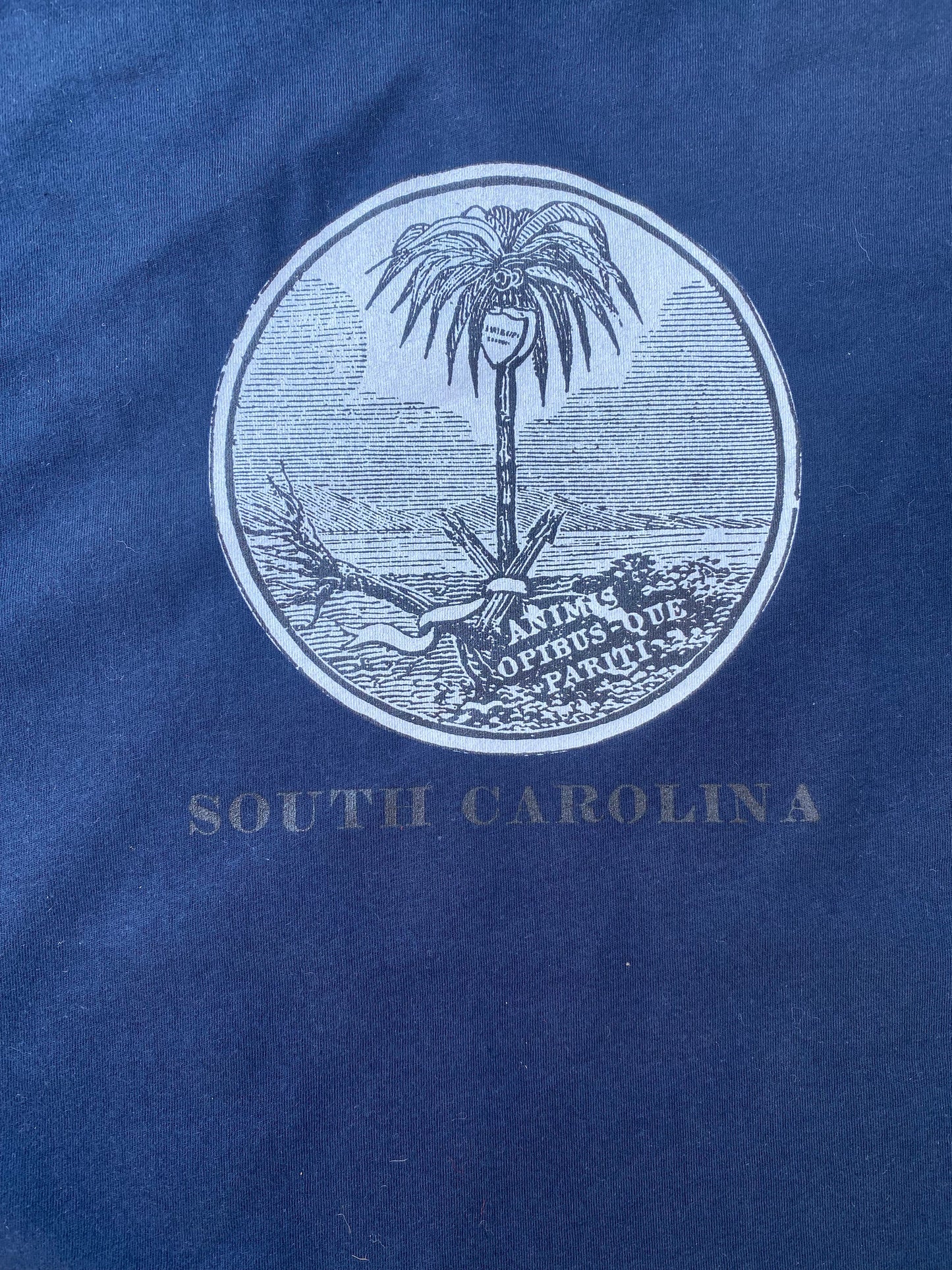 South Carolina Seal Shirt - 19th Century Variant